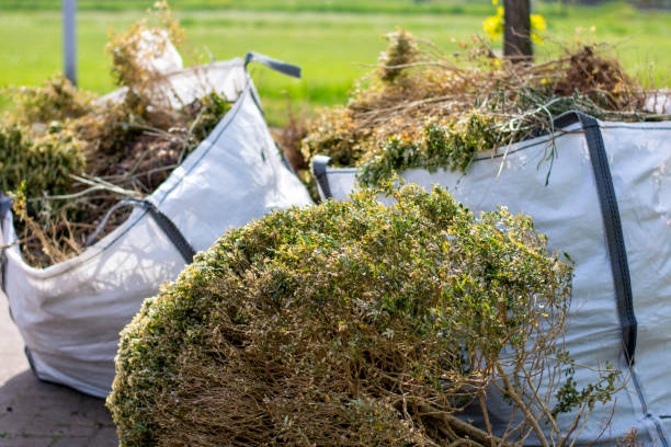 Basement Cleanout Services in Woodville, OH